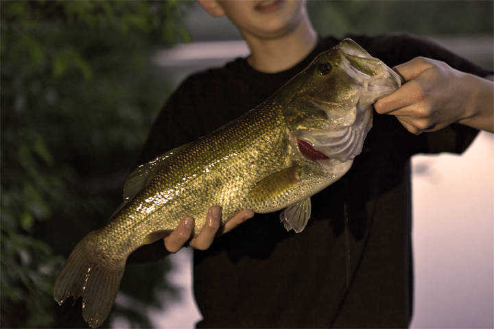 Guy holding fish