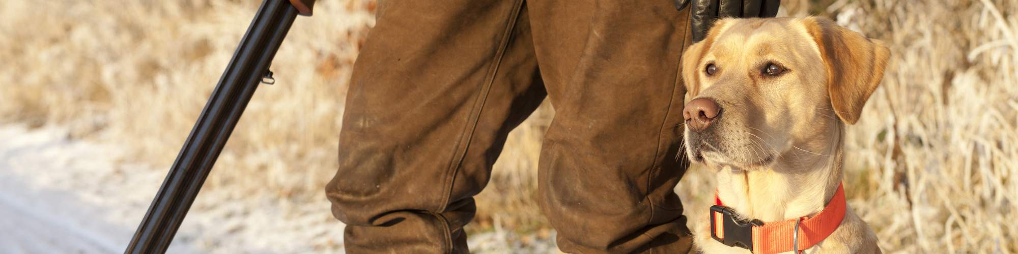 Hunting Mecosta County Michigan